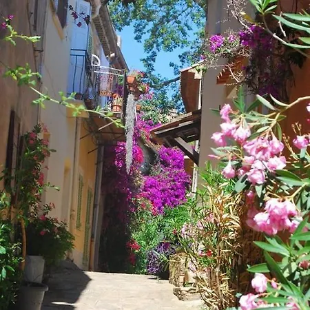 Du Cigalou